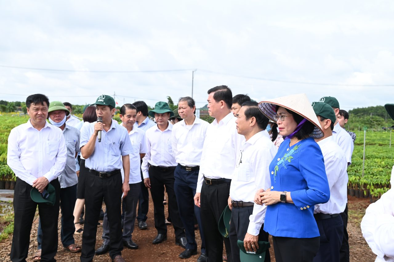 Đoàn công tác của Tỉnh ủy Đồng Nai tham quan vườn giống TCT Cao su Đồng Nai