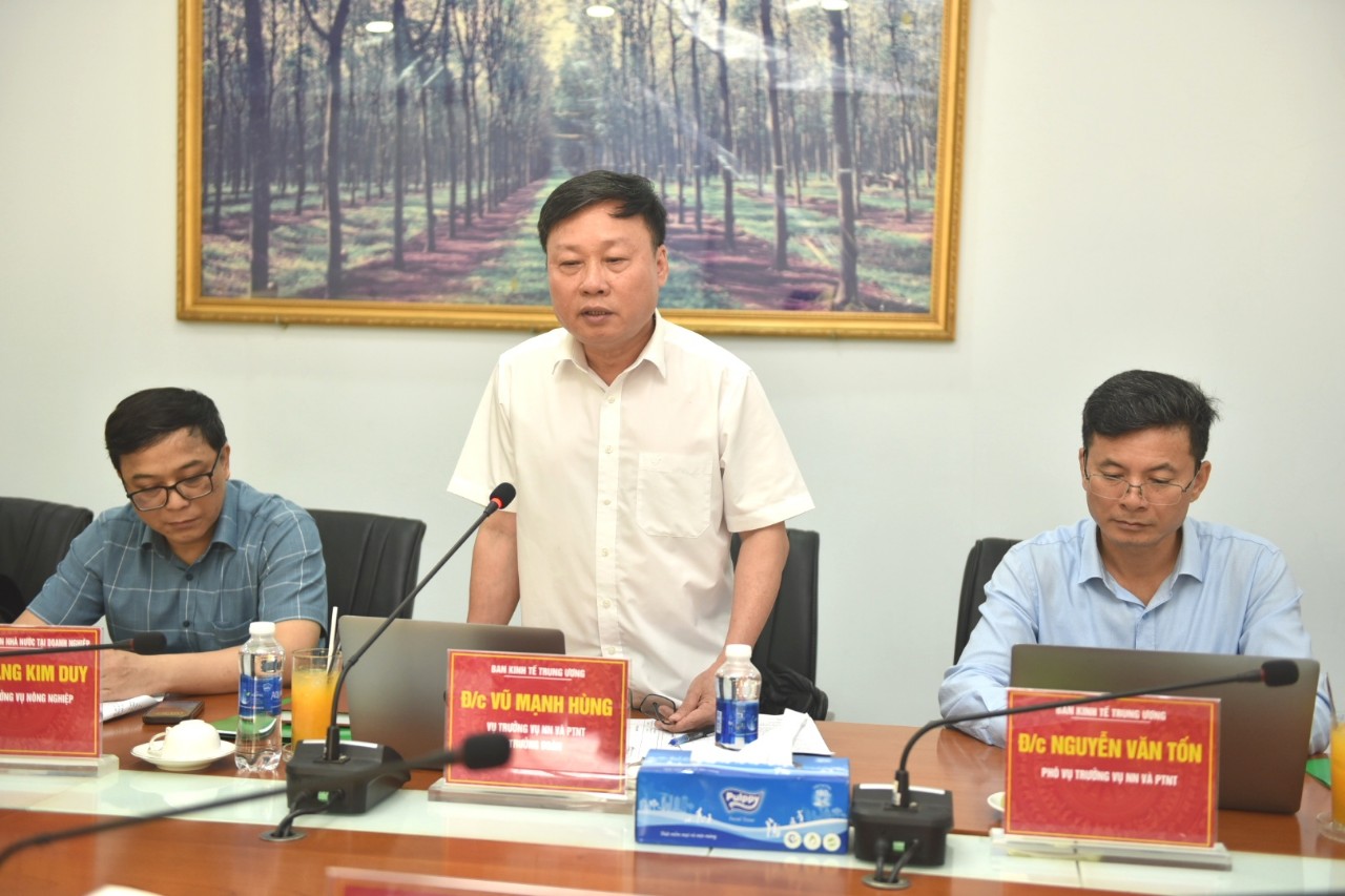 Ông Vũ Mạnh Hùng – Vụ trưởng Vụ Nông nghiệp và Phát triển nông thôn, Ban KTTW phát biểu tại buổi làm việc