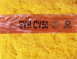 CAO SU SVR CV50